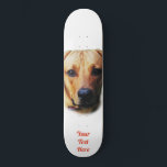 Personalised Custom Image Skateboard Deck<br><div class="desc">Custom personalised skateboard deck with your own favorite photo. Create, personalise and customize your own skateboard deck with photo, graphics and text.</div>