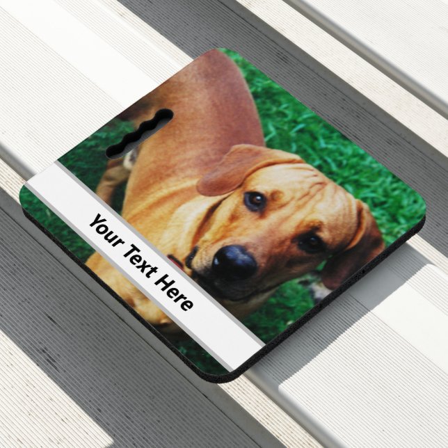 Personalised Custom Photo Seat Cushion (In Situ)