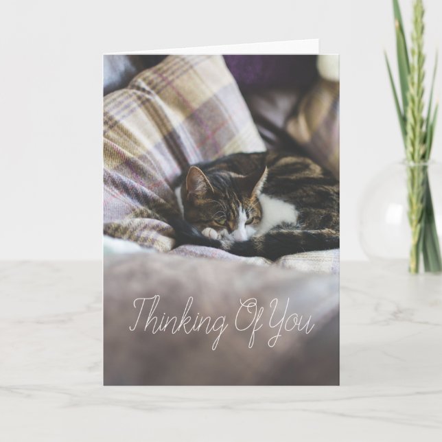 Personalised Cute Cosy Sleeping Cat Greetings Card (Front)