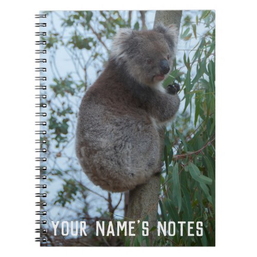 Personalised Cute Koala Animal Wildife Notebook