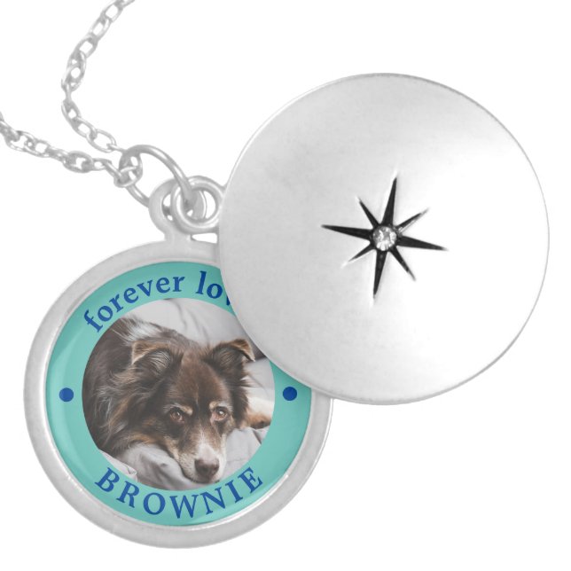 PERSONALISED IN MEMORIAM PET LOCKET NECKLACE (Front)