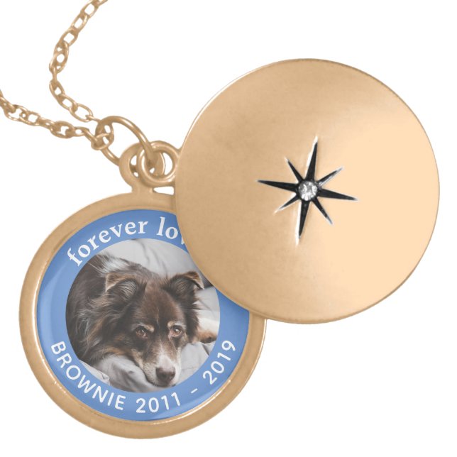 PERSONALISED IN MEMORIAM PET LOCKET NECKLACE (Front)