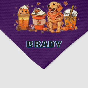 PERSONALISED NAME CUTE Pet Bandana Collar