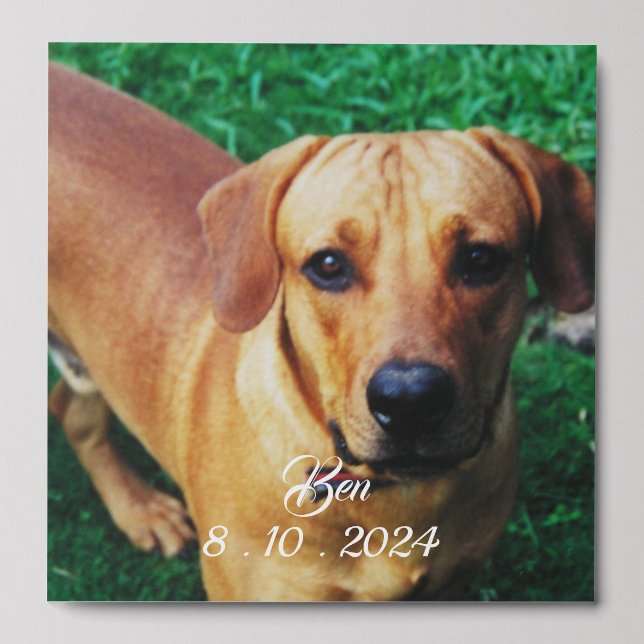 Personalised Peel And Stick Photo Tile (Front Set)