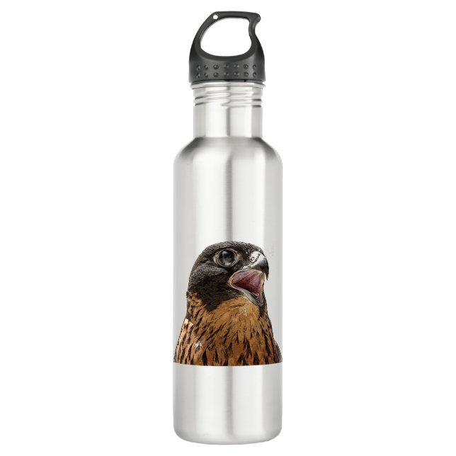 Personalised Peregrine Falcon Stainless Steel Water Bottle (Front)
