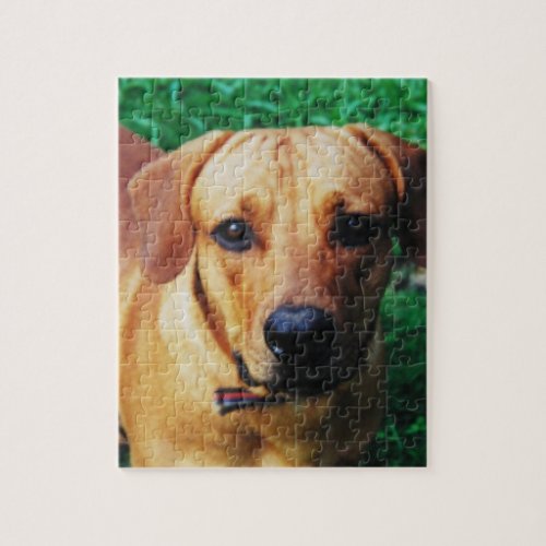 Personalised Photo Custom Dog Jigsaw Puzzle