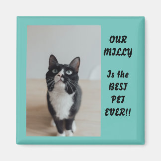 Personalised Photo Magnet Best Pet Ever