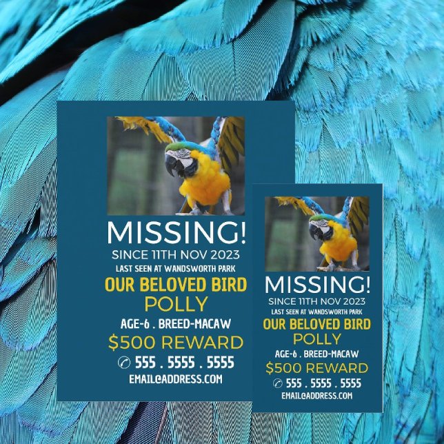 Personalised Photograph, Missing, Lost Pet Flyer (Creator Uploaded)