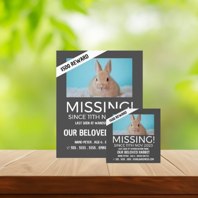 Personalised Photograph, Missing, Lost Pet Flyer (Creator Uploaded)