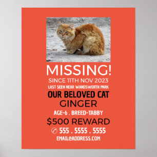 Personalised Photograph, Missing, Lost Pet Poster