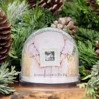 Personalised Pregnancy Announcement Snow Globe. Globe