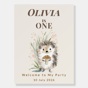 Personalised Woodland Hedghog 1st Birthday  Foam Board
