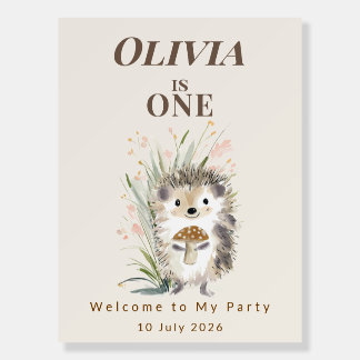 Personalised Woodland Hedghog 1st Birthday  Foam Board