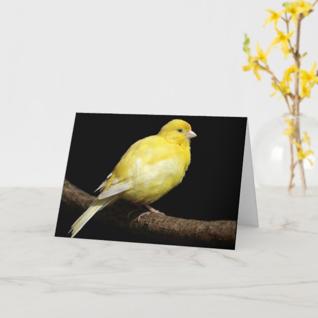 Personalised Yellow Canary Card (Yellow Flower)