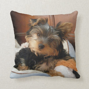 yorkie throw pillows