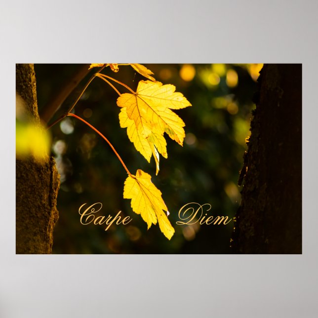 Personalizable Carpe Diem with colorful leaf Poste Poster (Front)