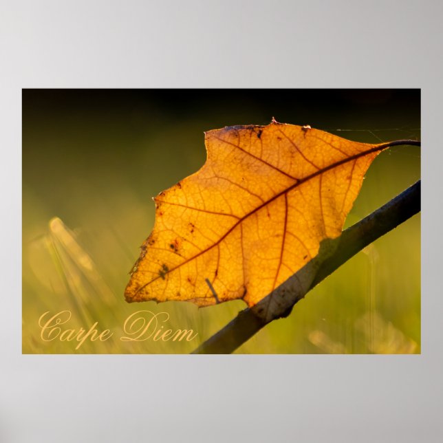 Personalizable Carpe Diem with colorful leaf Poste Poster (Front)