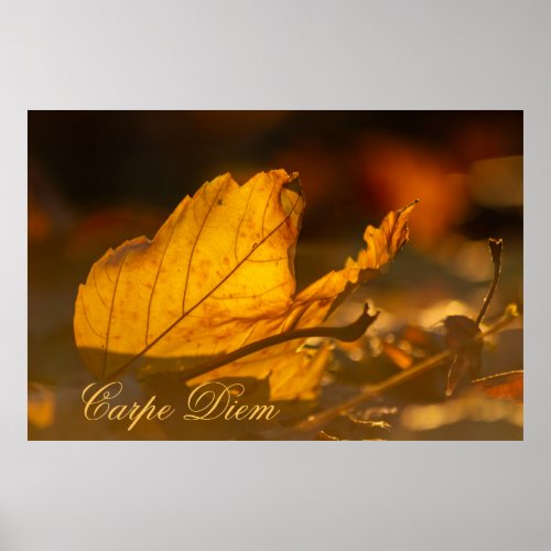 Personalizable Carpe Diem with colorful leaf Poste Poster