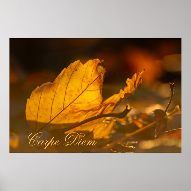 Personalizable Carpe Diem with colorful leaf Poste Poster (Front)