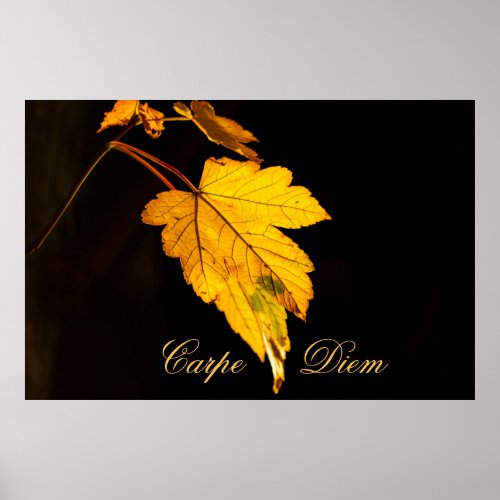 Personalizable Carpe Diem with colorful leaf Poste Poster