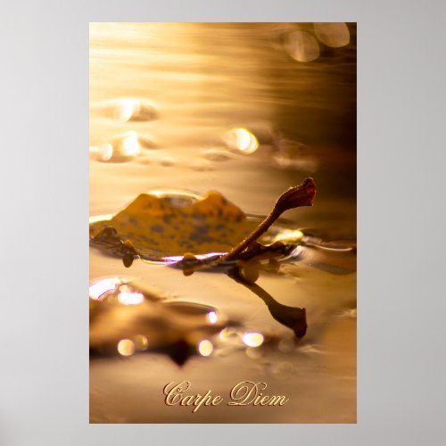 Personalizable Carpe Diem with colorful leaf Poste Poster