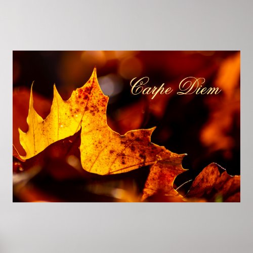 Personalizable Carpe Diem with colorful leaf Poster