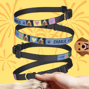 Personalizable dogs birthday gift Dog Collar