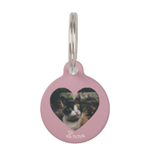 Personalizable Ornament Pet ID Tag