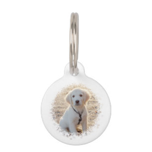 Personalizable Pet Photo Template With Custom Info Pet ID Tag