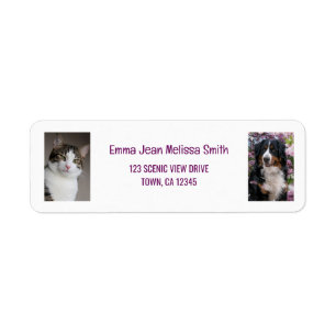 Personalize 2 Photos Cat Dog Modern Return Address Label