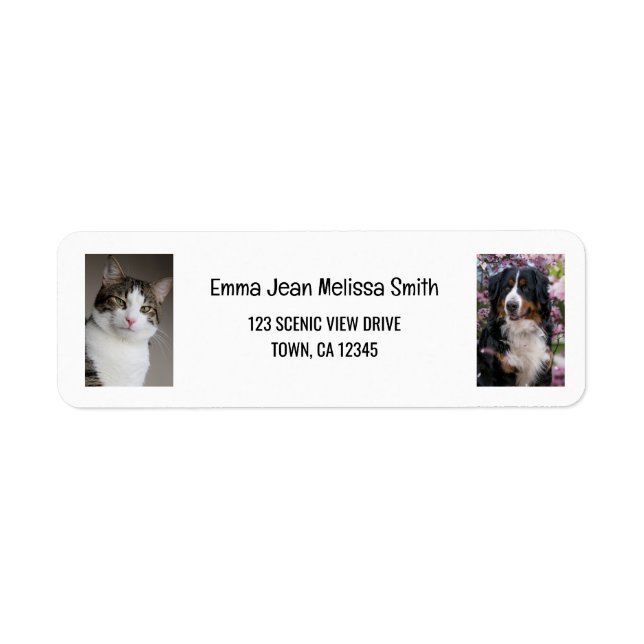 Personalize 2 Photos Cat Dog Modern Return Address Label (Front)