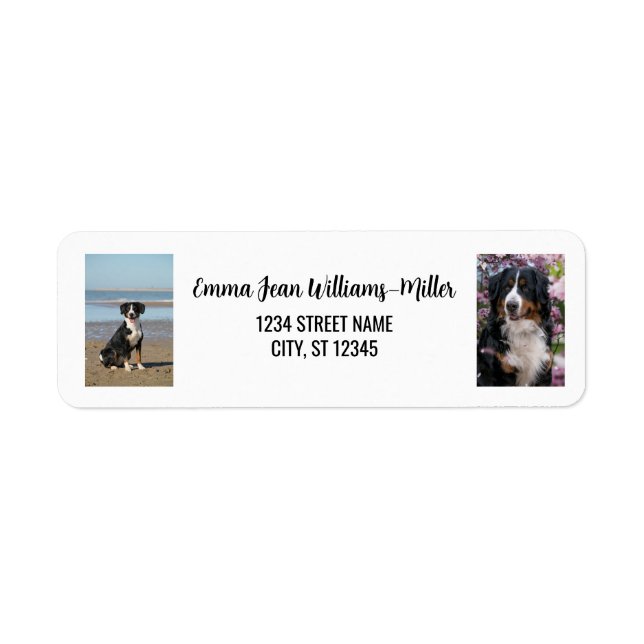 Personalize 2 Photos w/ Dog Modern Return Address Label (Front)
