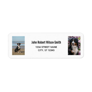 Personalize 2 Photos w/ Dog Modern Return Address Label