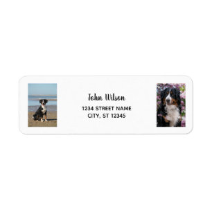 Personalize 2 Photos w/ Dog Modern Return Address Label