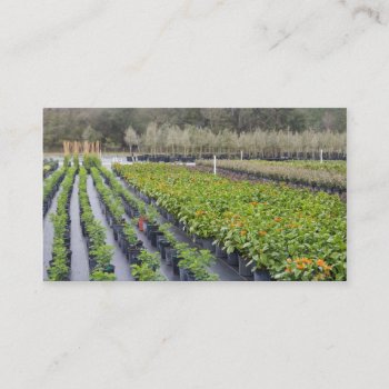 Personalize-2 Sided-nursery And Gardening Business Card by Scotts_Barn at Zazzle