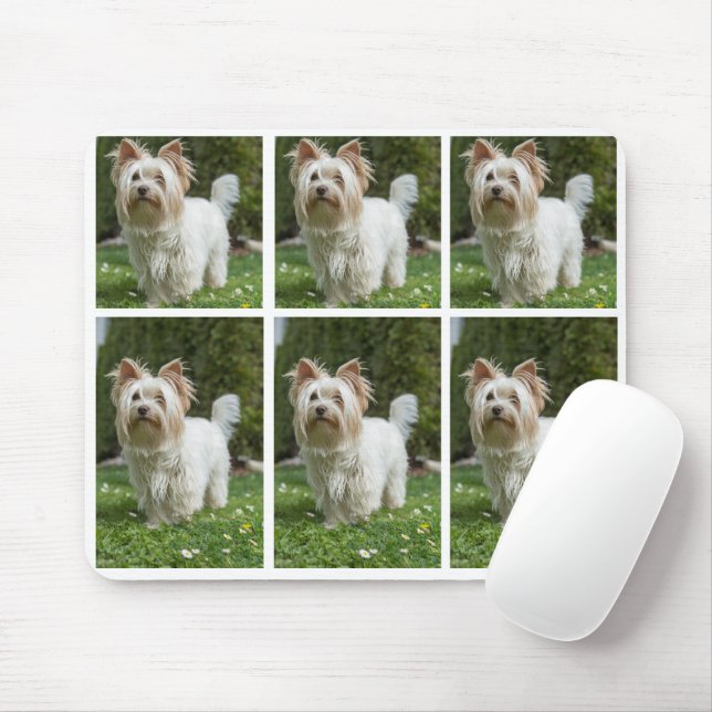 Personalize 6 Photo Collage dog owner Mouse Pad (With Mouse)