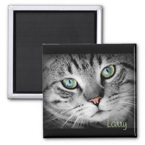 Personalize a Magnet with your Favorite Pet
