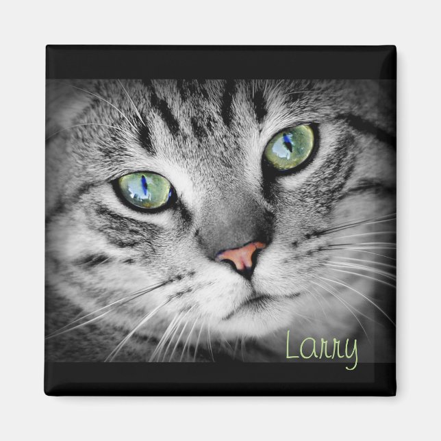 Personalize a Magnet with your Favorite Pet! (Front)