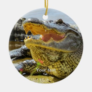 Personalize American alligator portrait photograph