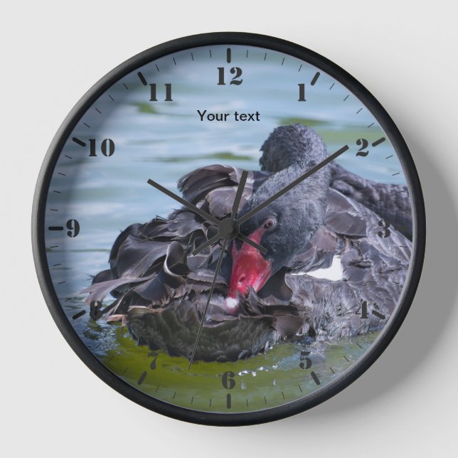 Personalize Black Swan bird resting Clock (Front)