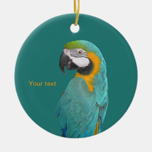 Personalize Blue and Gold Macaw portrait Ceramic Ornament (Front)