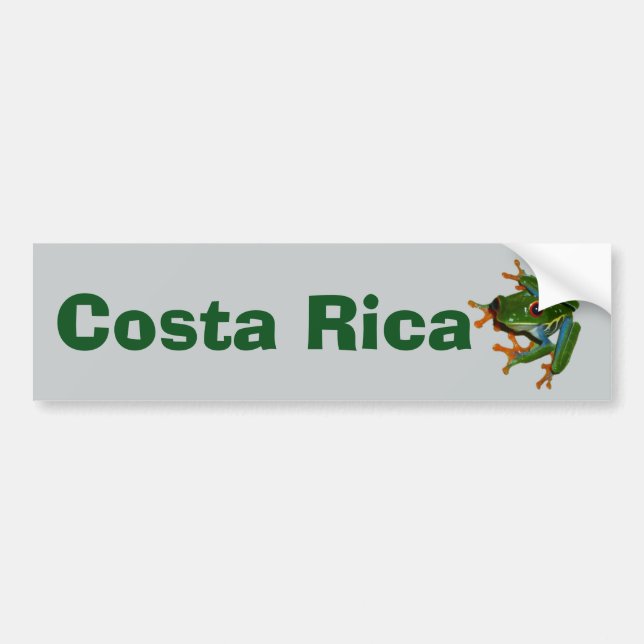 Personalize Costa Rica Red Eyed Frog Bumper Sticker (Front)