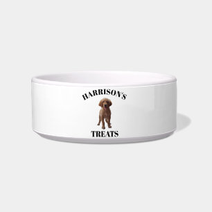 Personalize Custom Dog, Cat Name Photo treats food Bowl