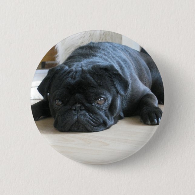 Personalize cute black Pug Puppy accessories name Button (Front)