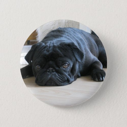 Personalize cute black Pug Puppy accessories name Button