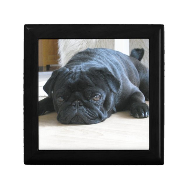Personalize cute black Pug Puppy accessories name Gift Box (Front)