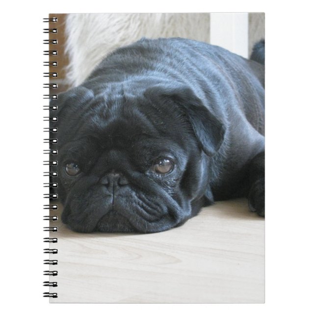 Personalize cute black Pug Puppy accessories name Notebook (Front)