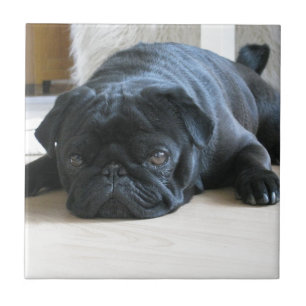 Personalize cute black Pug Puppy accessories name Tile