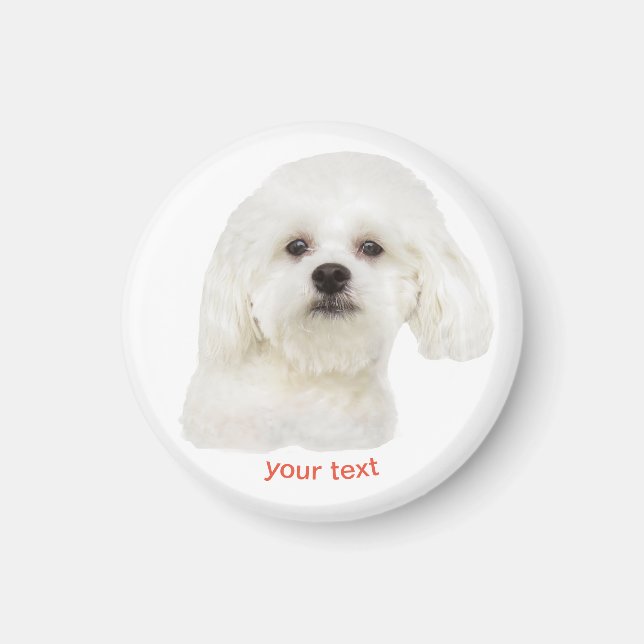 Personalize Cute Maltese Puppy Magnet (Front)