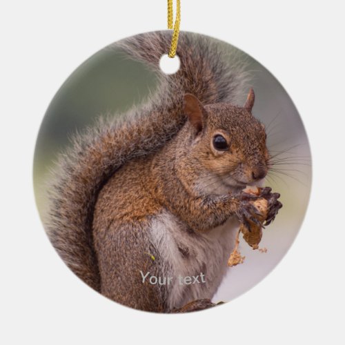 Personalize cute Squirrel eating a nut photography Ceramic Ornament